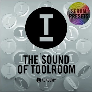 Toolroom The Sound Of Toolroom Serum Presets FANTASTiC