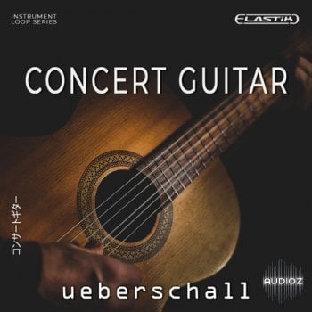 Ueberschall Concert Guitar ELASTIK screenshot