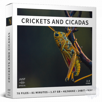 Just Sound Effects Crickets and Cicadas WAV screenshot