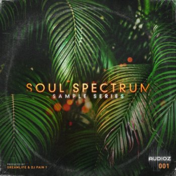 The Sample Lab Soul Spectrum Vol 1 Compositions and Stems WAV FANTASTiC