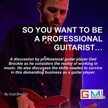 So You Want to Be a Professional Guitarist Audiobook