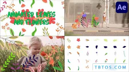 Videohive Animated Leaves And Flowers for After Effects