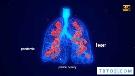 Videohive Covid 19 Lungs