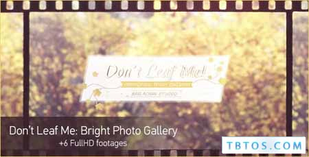 Videohive Don 039 t Leaf Me Photo Gallery