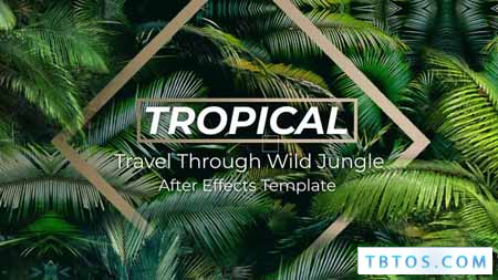 Videohive Jungle Tropical Slideshow
