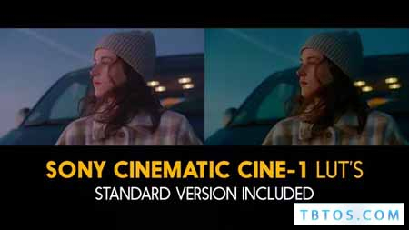 Videohive Sony Cinematic Cine 1 and Standard Luts for Final Cut