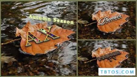 Videohive Autumn Yellow Leaf And Logo