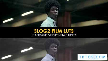 Videohive Film Slog2 and Standard Luts